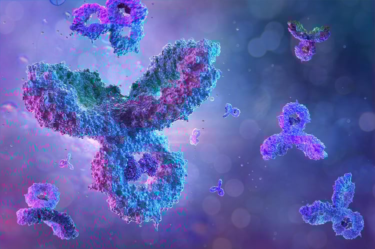 350554958-antibodies-immunoglobulin-ig-proteins_web