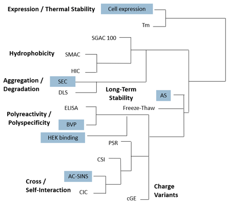 specifica-az-casestudy-flowchart
