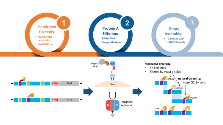 VHH-schematic